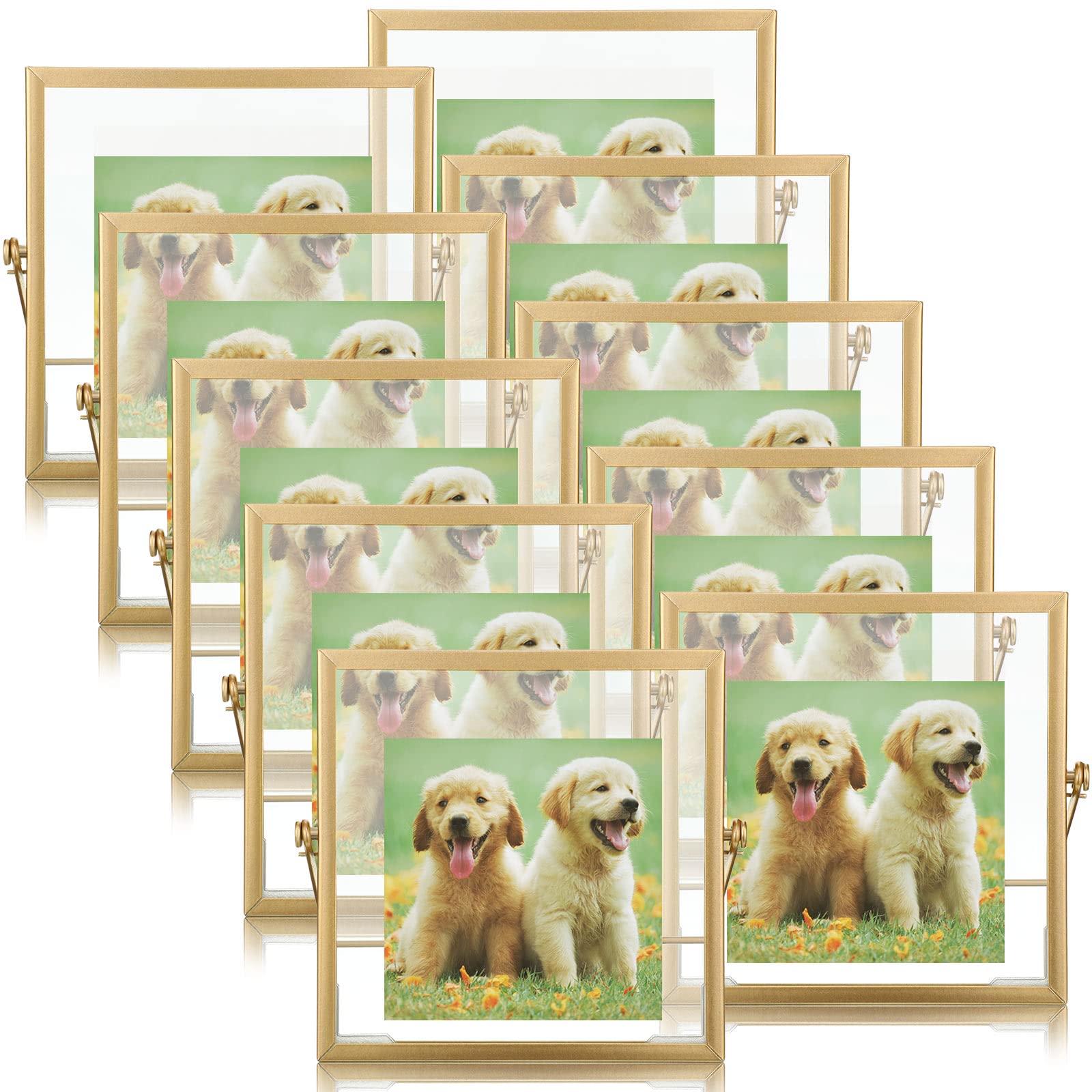 12 Piece Gold Floating Metal Glass Picture Frame Set 4 by 6 Inch