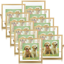 12 Piece Gold Floating Metal Glass Picture Frame Set 4 by 6 Inch