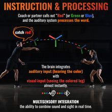 RGB Hand Eye Coordination Trainer for Reaction Time and Reflexes